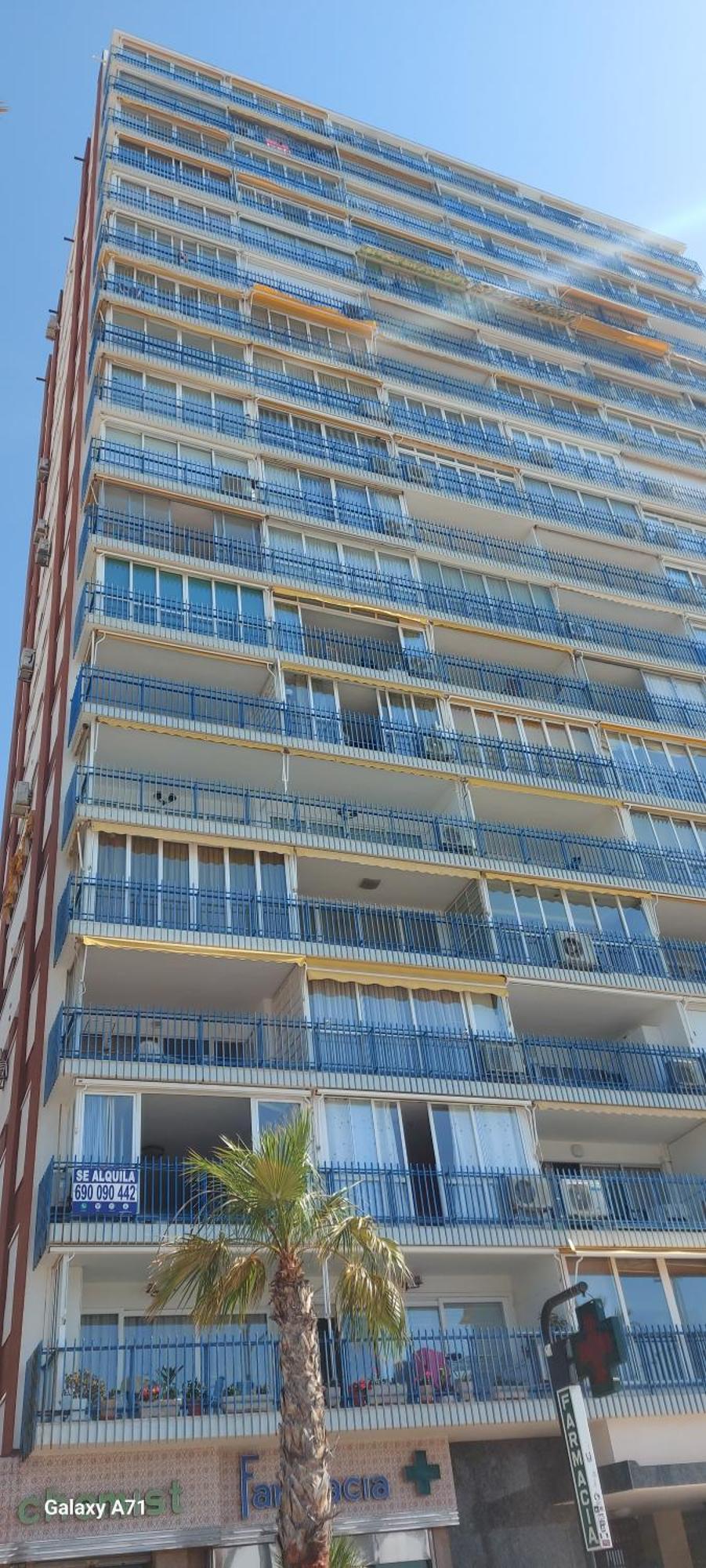Las Palmeras 1° Linea Playa Benidorm Exteriér fotografie